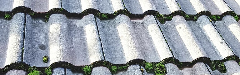 ROOF TREATMENT